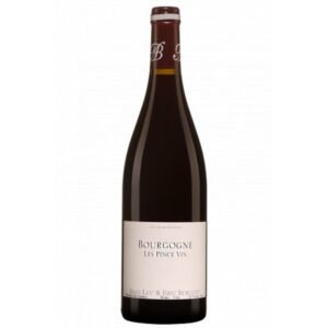 Burguet Alain - Bourgogne Pinot Noir Les Pince Vin - Red - 2020