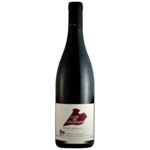 Domaine Des Roches Neuves - Saumur Champigny Clos De L'Echelier - Red - 2021