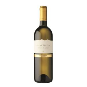 Elena Walch Pinot Bianco - Alto Adige - White - 2025