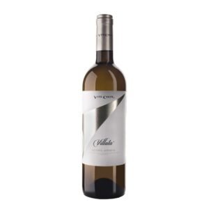 Roero Arneis “Villata” - Vite Colte - Piémont - White - 2024
